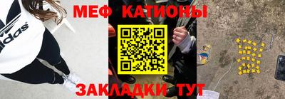 спиды Кингисепп