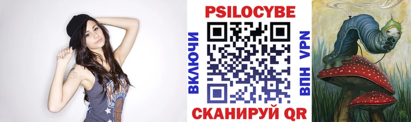 Галлюциногенные грибы Psilocybine cubensis  купить   Красноярск 