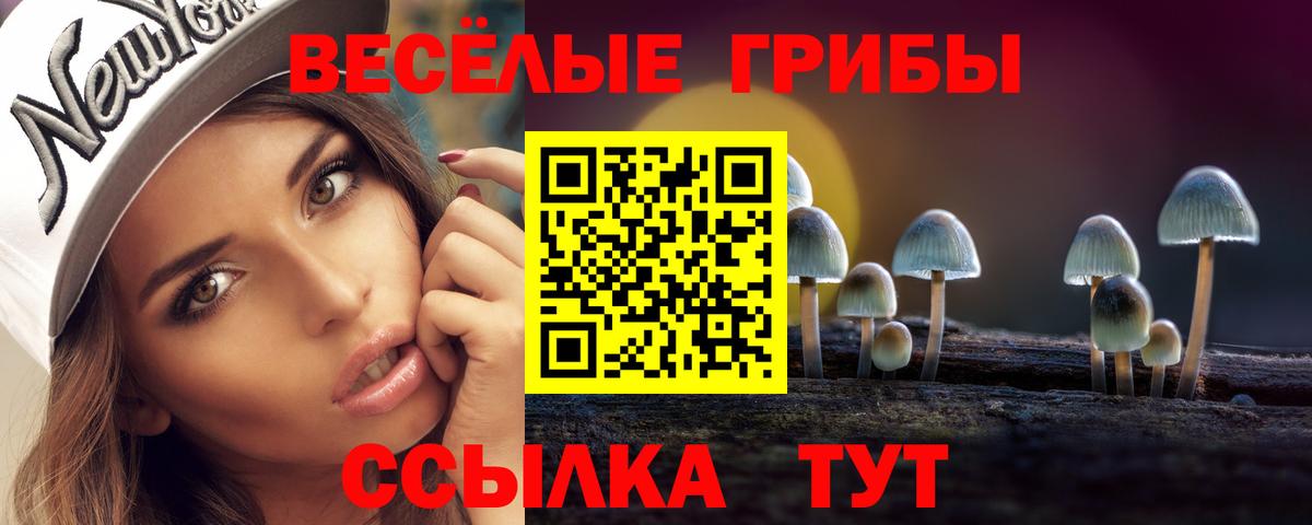 Галлюциногенные грибы ЛСД  Вход с VPN  Красноярск 